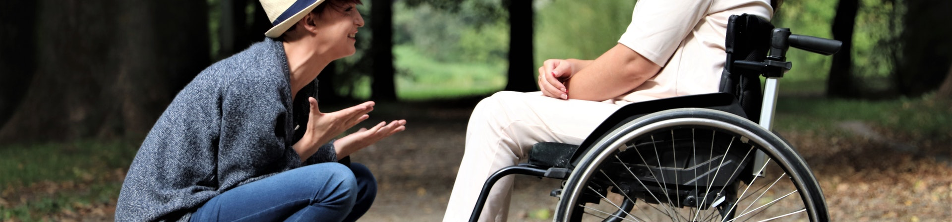 WHEELCHAIRS AND OTHER MOBILITY AIDS RENTAL PROGRAMME