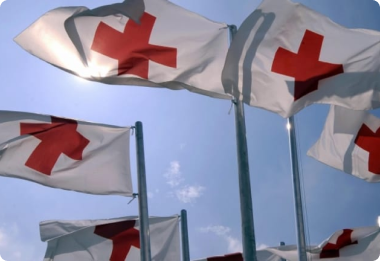 History of establishment